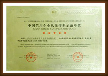 CHINA CREDIT EXAMPLE CERTIFATE